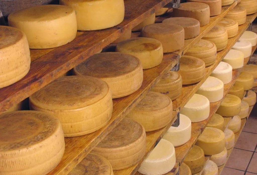 Discover Olive Oil and Cheese tradition in Tuscany