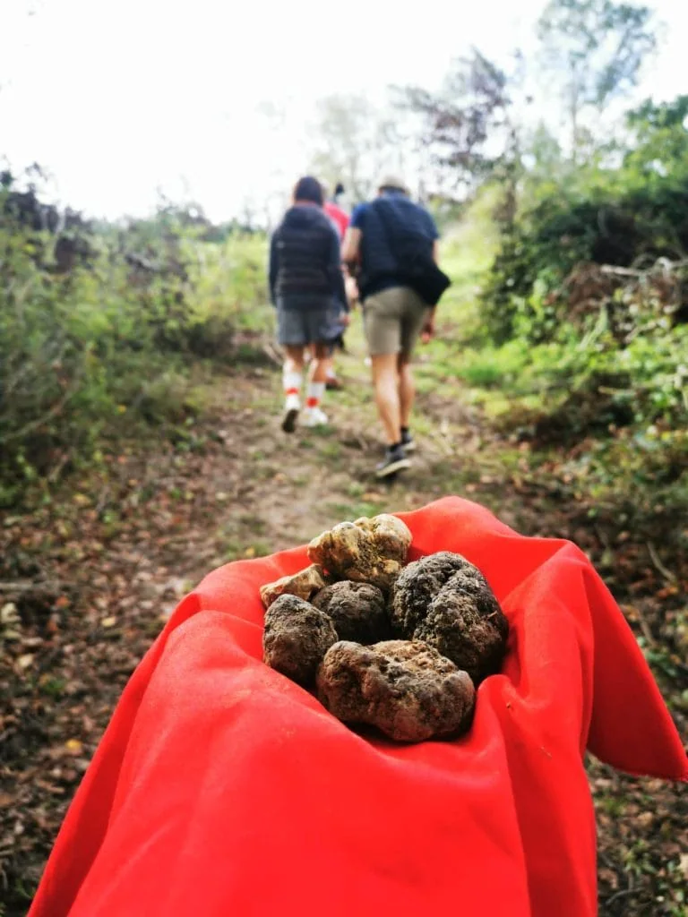 Whatsapp Image 2024 11 08 At 11.24.42