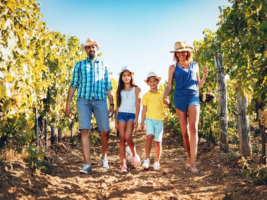 Chianti Classico Tour